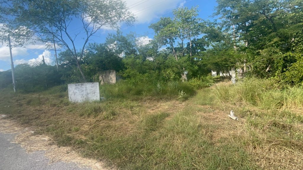 Fotografía 2 de UCU.- Magnifico terreno de 3.7 Hectáreas a orilla de carretera Mérida–Ucú